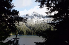 Snowy Mountains Through Tree Silhouettes digital painting