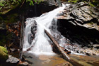 Waterfall, Rocks, & Logs digital painting