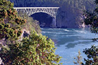 Deception Pass & Trees digital painting