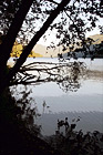 Trees & Silhouettes on Shore at Cresent Lake digital painting