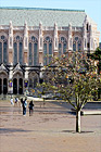 Suzzallo Library, Tree & Students digital painting