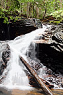 Waterfall & Log digital painting