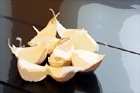 Garlic Cloves digital painting