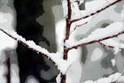 Close Up of Snow on a Tree Branch digital painting