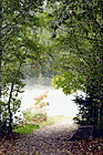 Trail Leading to Fog digital painting