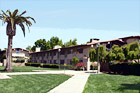 Graham Residence Hall & Palm Tree digital painting