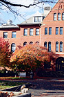 Brick Building and Squirrel at UW digital painting