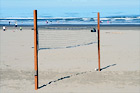 Beach Volleyball Net digital painting