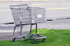 Gray Shopping Cart digital painting