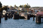 Friday Harbor Shore digital painting