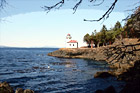 Lime Kiln Lighthouse & Branches digital painting