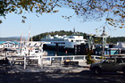 Friday Harbor Ferry Docking digital painting