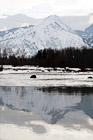 Mountain Reflection & Snow digital painting