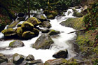 Multnomah Creek & Rocks digital painting