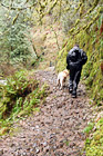 Hiker & Dog on Trail digital painting