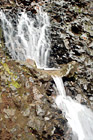 Small Waterfall on Rock Wall digital painting