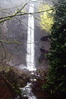 Latourell Falls, Bridge & Trees digital painting