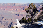 Snowman Looking at Grand Canyon digital painting