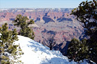 Snow, Trees, & Grand Canyon View digital painting