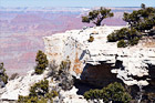 Cliff, Tree & Grand Canyon digital painting