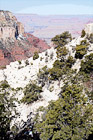 Grand Canyon National Park at South Rim digital painting