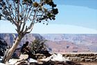 Man Playing Guitar Along Rim of Grand Canyon digital painting