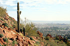 Cactus & Camelback Mountain View digital painting