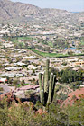 Camelback Mountain, Cactus, & Scottsdale digital painting