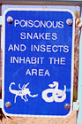 Poisonous Snakes & Insects Sign digital painting