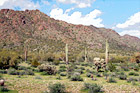 Arizona Landscape digital painting