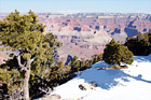Grand Canyon Snow and View digital painting