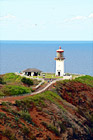 Kilauea Lighthouse digital painting