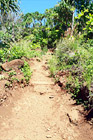 On the Kalalau Trail digital painting