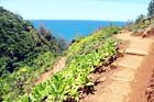 Kalalau Trail on Na Pali Coast digital painting