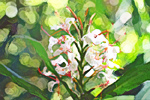 Flowers in Hawaii digital painting