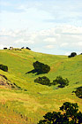 Green Hill & Scenic Sky Scene digital painting