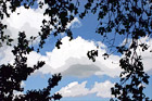 Clouds, Blue Sky, & Tree Branches digital painting