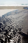 Kehoe Beach Sand & Waves digital painting