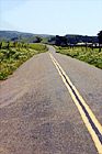 Marin County Farm Road digital painting