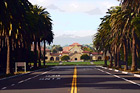 Stanford University from Palm Drive digital painting