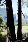 Yosemite Falls & Reflection Through Trees digital painting