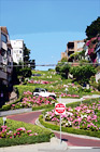 Lombard Street, San Francisco digital painting
