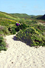 Hiking at Kehoe Beach, California digital painting