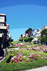 San Francisco's Lombard Street digital painting