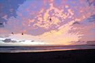 Seaside, Oregon Sunset & Birds digital painting