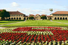 Stanford Oval & Memorial Court digital painting