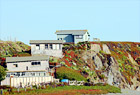 Three Coastal Houses on Hill digital painting
