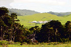 Farm in Marin County, California digital painting