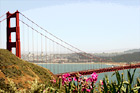 Golden Gate Bridge & Flowers digital painting