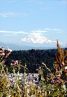 Mt. Rainier from Bonney Lake digital painting